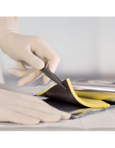 Askina® Calgitrol Ag de 15 x 15 cm. Caja x 10